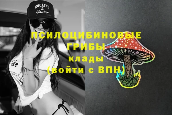 apvp Абаза