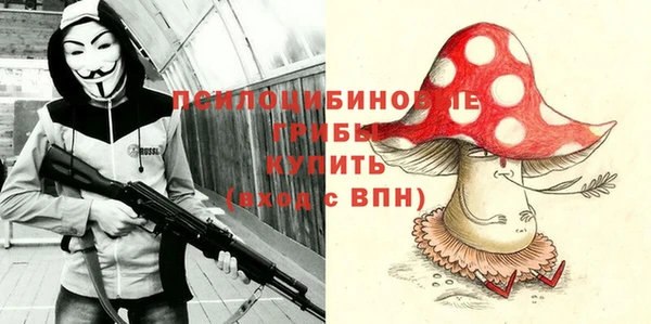 apvp Абаза